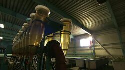 Fish tubes jut from a machine near tubs at a fish farm. Stock Footage