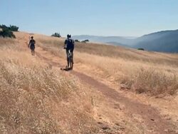 Hiker and Biker Passing On The Trail Stock Footage