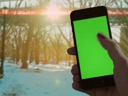 Selfie Self portriat Park sunset Female One Person Stock Footage