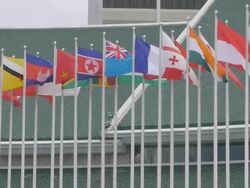 International flags Stock Footage