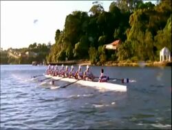 MS team of eight women in rowing boat, Australia Stock Footage