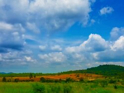 Nature background Stock Footage
