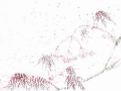 RED MAPLE : modern halftone style (TRANSITION) Stock Footage