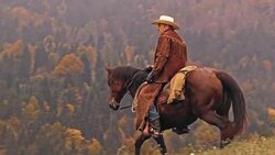 DS Rancher riding down the hill on his brown horse Stock Footage