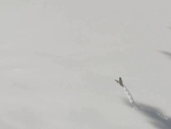 WS PAN Lontra running on snowy ice / Yellowstone National Park, Montana and Wyoming, United States Stock Footage