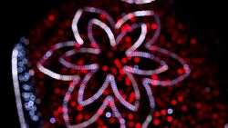 Christmas light, christmas ornament Stock Footage
