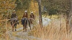 DS Herdsmen and herdswoman riding horses in countryside Stock Footage