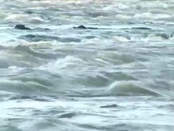 The motion of the water current Stock Footage