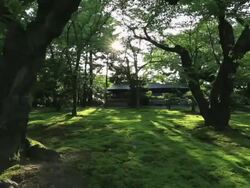 MS PAN View of Japanese garden Kenrokuen / Kanazawa, Ishikawa, Japan Stock Footage