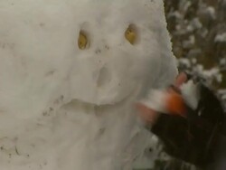 CU person adds carrot nose to snowman, close up of snowmans face, United Kingdom Stock Footage