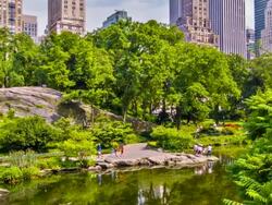 Central Park. Stock Footage