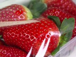 fresh strawberries Stock Footage