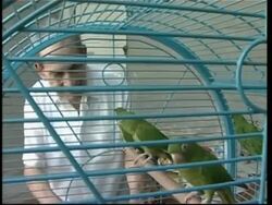 Veteran dissident Gustavo Arcos Bergnes, dies News Clip