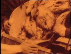 Men and women work in a variety of jobs during the depression. News Clip