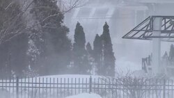 Blizzard, Snow Storm, Blowing Snow - Plymouth, Massachusetts Stock Footage