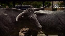A statue of a Texas Longhorn stands in a park. Stock Footage