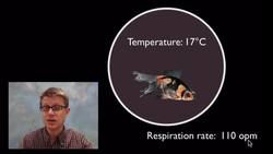 Q10 - The Temperature Coefficient Instructional Video
