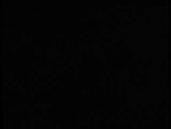 ALGERIA: PRESIDENTIAL ELECTION CONTEST: FRAUD ALLEGATIONS News Clip