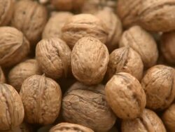 Walnuts Stock Footage