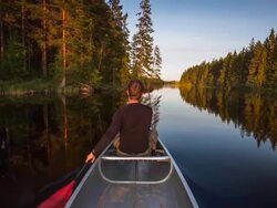 Young Man Canoeing in the Wilderness Stock Footage