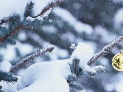 Snow gently falling on Christmas ornament hanging from tree Stock Footage