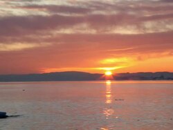 Sunset in winter. Stock Footage