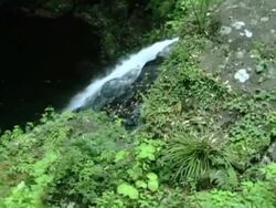 Waterfall in Japanese Mountain Forest Stock Footage
