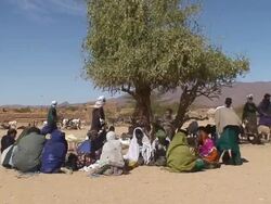Niger, daily life in the oasis of the mountains of Air. Stock Footage