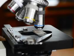 Microscopy (HD) Stock Footage