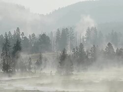 WS View of steam from hot springs rising at morning, UNESCO World Heritage Site, Firehole Lake Drive, Yellowstone National Park / Yellowstone, Wyoming, United States Stock Footage