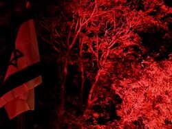 Israel Flag Stock Footage