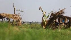 CLEAN : IS inspired militants on offensive in southern Philippines News Clip