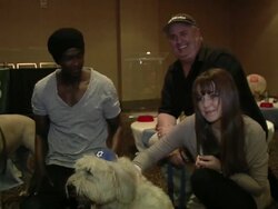 Evanger's Presents 'Passover Seder For Dogs' Hosted By Dog News Daily Stock Footage