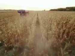 POV combine harvesting corn in a large field; the second tractor pulls away with a wagon full of corn. Stock Footage