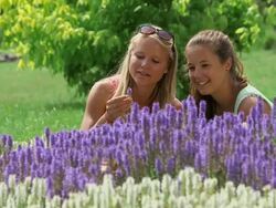 MS Shot of girls in park smelling flowers / Losheim am See, Saarland, Germany Stock Footage