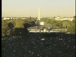 Million Man March Stock Footage