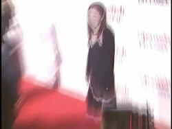 'Spanglish' Premiere Stock Footage