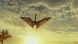 A winged dinosaur flies across a cloudy sky, then lands with its wings spread wide in a computer generated animation. Stock Footage