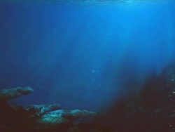 Sea underwater Seamless loop Stock Footage