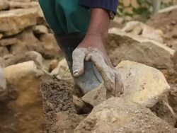 Afar men build stone enclosure Stock Footage