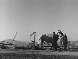 Farmers gather alfalfa crops Stock Footage