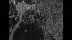 CAN972 NEW FARMING TECHNIQUES Instructional Video