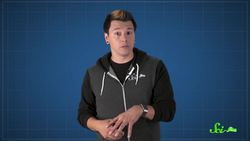 The Tiny Fish That's Changing Modern Medicine Instructional Video