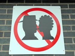 MULTIMEDIA: Pictures of the Week 02/26/2009 Stock Footage