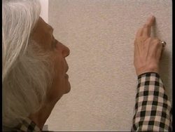 International contemporary art festival opens News Clip