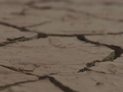  CU Wet cracks on arid desert / Mojave, California, USA Stock Footage