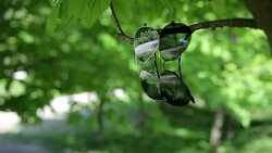 fashion Accessory Stock Footage