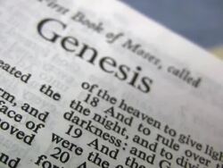 HD 1080i Genesis 3 Stock Footage