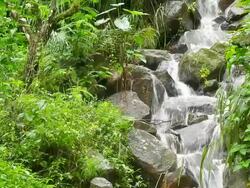 Waterfall in Nature Stock Footage