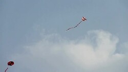 Flying Kite Stock Footage